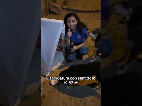 🐶Tú voto hace el cambio.en el congreso🖐💙Carolina Moscoso por el Distrito 3 de Antofagasta K 83🗳️.