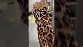 Leopard Print Pajama Set for Women #fok #pyjamas #pjs #leopardprint