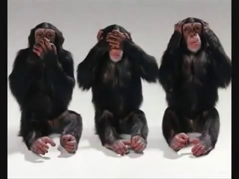 Carlo Muratori - Turi nun parrò