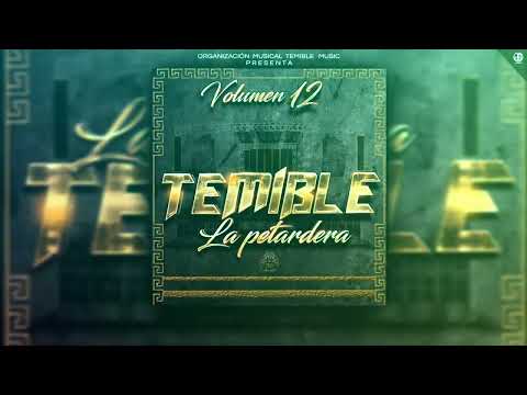 Temible Music Vol 12 - Ya No Te Quiero | Lewis Undergraund
