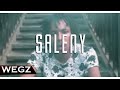 Wegz Saleny ويجز ساليني Official Music Video Prod DJ Totti