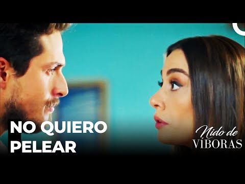 Bien Hecho, Causasteis Una Pelea  - Nido De Víboras