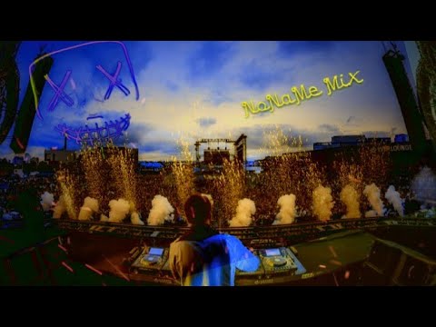 Alan Walker, Alok, Martin Garrix, The Chainsmokers | Best EDM Music Remix | NoNaMe MiX