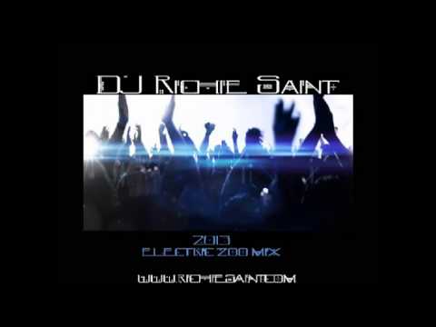 DJ Richie Saint 2013 Electric Zoo Electro/House Mix