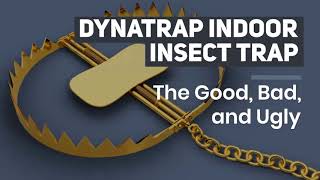 Dynatrap Indoor Insect Trap: The Good, Bad, and Ugly