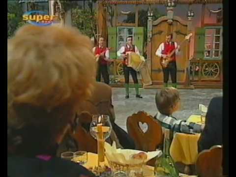 Stoakogler Trio - Schatzl, Spatzl - Du, i hab di gern (1993)