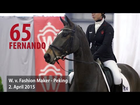 65 Fernando Wallach v. Fashion Maker - Peking