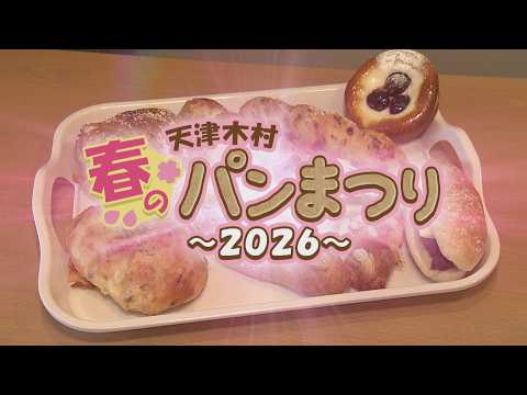 YouTube動画