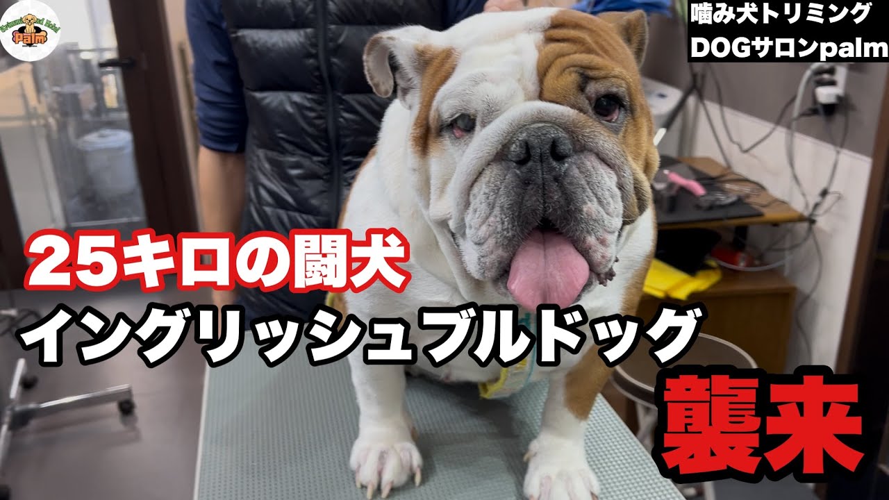 【初来店】開始早々から雲行きが怪しい...結果は？