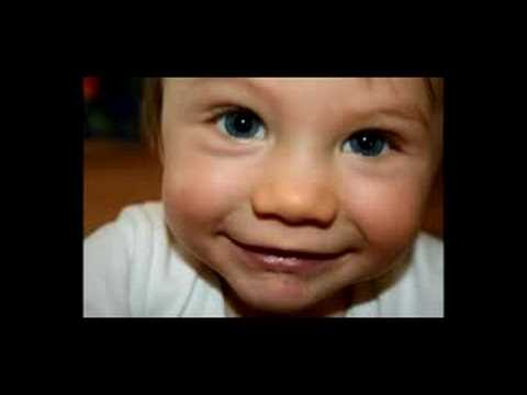 Hajoken - skal bli far