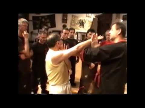 Wing Tsun Archives Leung Ting 3RD SECTION DE CHISAO 3RD GRADE TECNICAL PROGRAMME