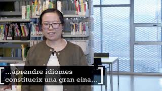 Prestatges d'idiomes