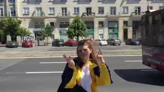 konkret dżungla//m1//świętokrzyska