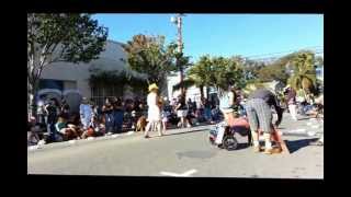 preview picture of video '12th Annual Haute Dog Howl'oween Parade in Belmont Shore Long Beach, California'