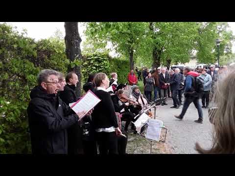 Lebenslaute in Demmin  8. Mai 2019