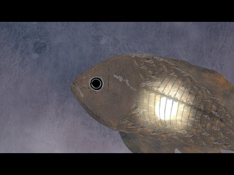 Szymon - Medusa (Official Video)