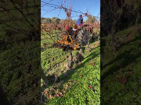 Kadıoğlu EKO Duyargalı Çapa Makinesi Bıçak Aparatı İle Bağda Kış Çapası