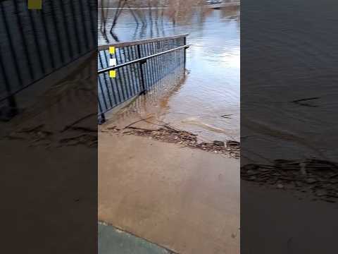 Inundación en Panguipulli tras las lluvias