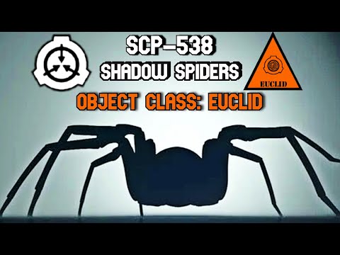 SCP Decoded Reading: SCP-538 Shadow Spiders