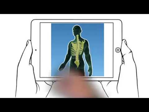 Escuela de Espalda Video