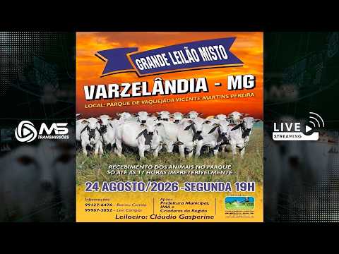 Leilão de Gado - Grande Leilão Misto Varzelândia MG