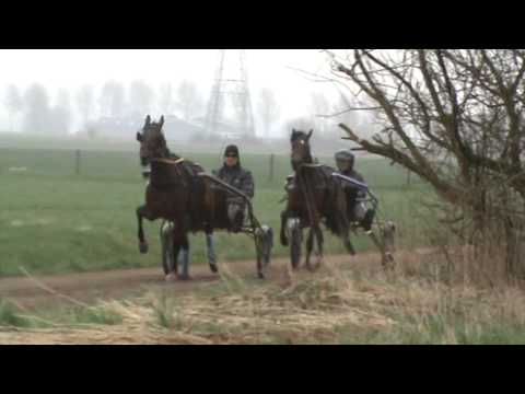 Tessa (Rob) en Lady of Steel (JT)