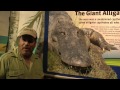 Mighty Mike Arrives At Adventure Aquarium