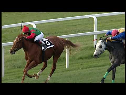 2019-12-05 Corsa 1 Metri 1200 Premio Gay Lussac