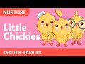 Little Chickies Los Pollitos Pio Pio Song Canticos