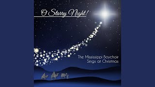 Starry Night of Winter