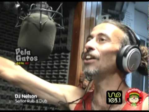 Dj Nelson - Reggae en PelaGatos - Senor Rub a Dub