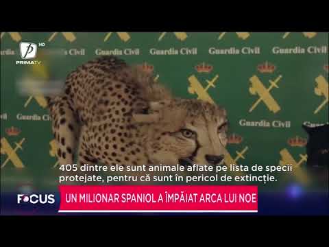 Un milionar spaniol a împăiat arca lui Noe