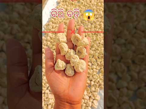 Making Of deshi  Biri Badi  in odisha l 😚 #viralvedio#funny #badikhabar #badi#shorts