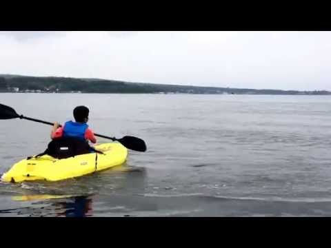 山中湖 しゅうすいや カヤック2