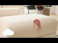 The Neptune Sofa Bed In Aquaforte