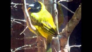 Look A Little Closer