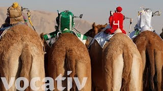 Remote-Controlled Robot Camel Jockeys Replace Children In Desert Race