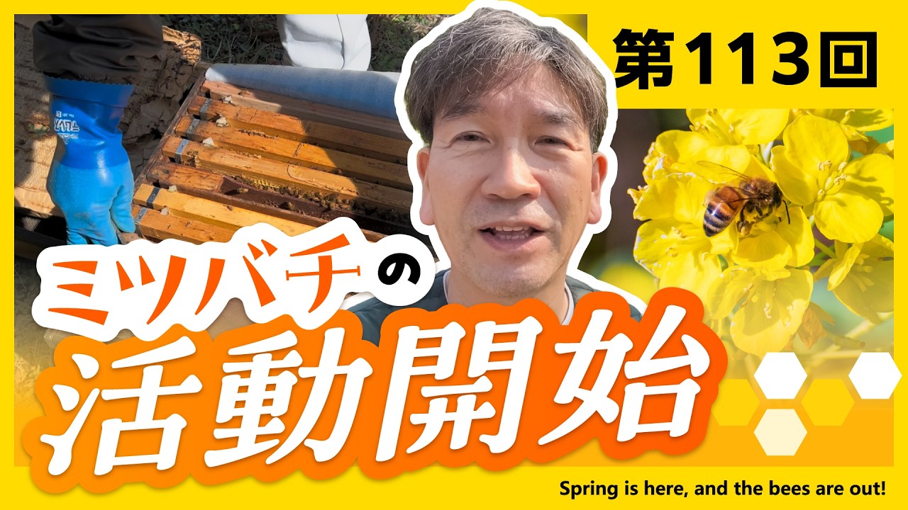 【第113回】ミツバチの活動開始