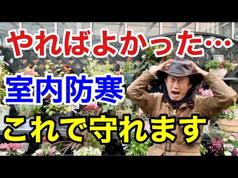 素晴らしいキャンドルの防寒対策 植物