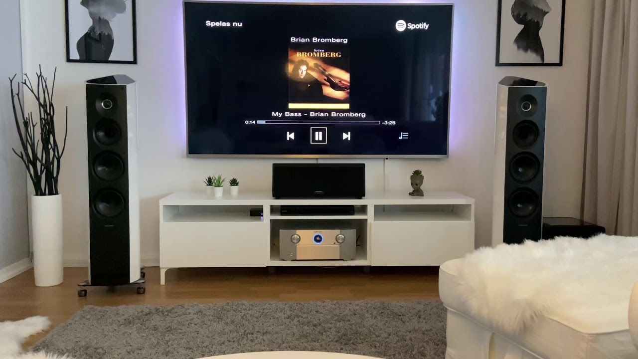 Just Amazing - Everone should try these Isoacoustics GAIA III!