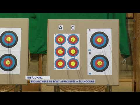 Yvelines | Tir à l'arc : 300 archers se sont affrontés à Elancourt