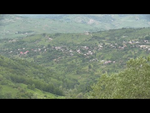 VRANCEA PITOREASCA - POIANA CRISTEI iunie 2023