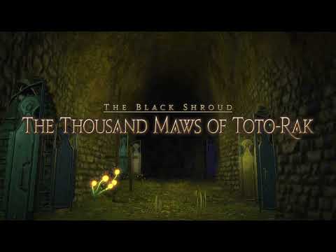 FFXIV: Leveling Monk to 63 via duty roulette.