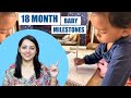 18 Month Baby Milestones | Development Milestones | 18 महीने में शिशु विकास