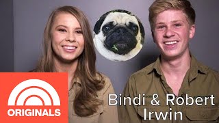 Bindi And Robert Irwin&#39;s Family Pug Is ‘One Of The Sweetest Animals’ They Know | My Pet Tale | TODAY