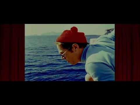 Crazy eyed Steve Zissou (the life aquatic)