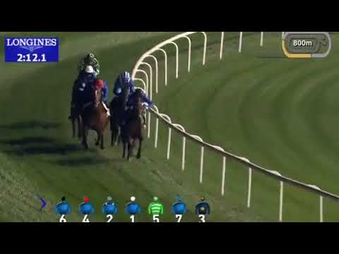 Charlie Appleby Interview - Blue Point/Ispolini