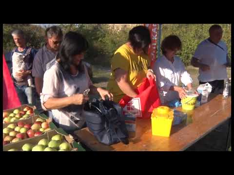 Vulkánság szív 2021