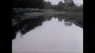 Death And Vanilla - Murder