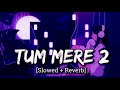 Tum Mere 2 Slowed Reverb Song Fukra Insaan Triggered Insaan Crazy Deep VGLofiMusic
